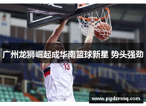 广州龙狮崛起成华南篮球新星 势头强劲