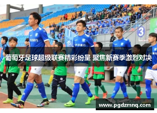 葡萄牙足球超级联赛精彩纷呈 聚焦新赛季激烈对决