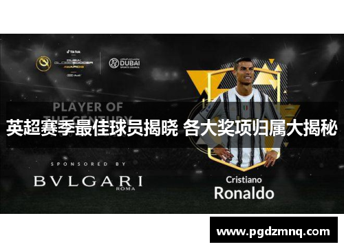 英超赛季最佳球员揭晓 各大奖项归属大揭秘